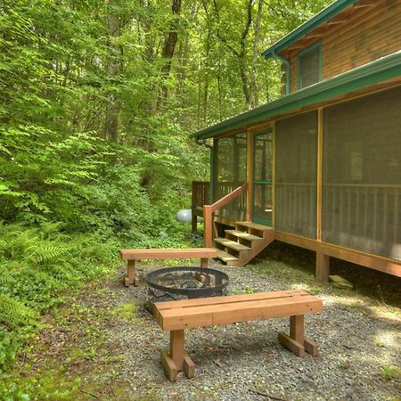 K6 Lodge Gather Around The Firepit Soak In The Hot Tub And Splash In The Creek ブルーリッジ山脈 エクステリア 写真